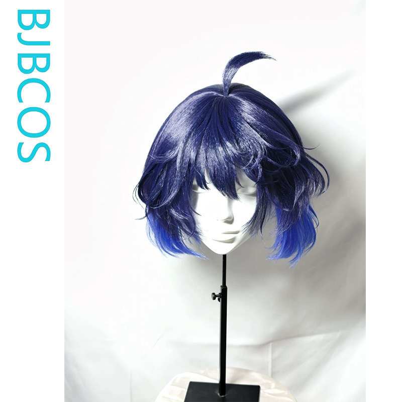 [Stilisierte Perücke] Seele Vo – Anime Cosplay Blue Hair Bewertung und Preis